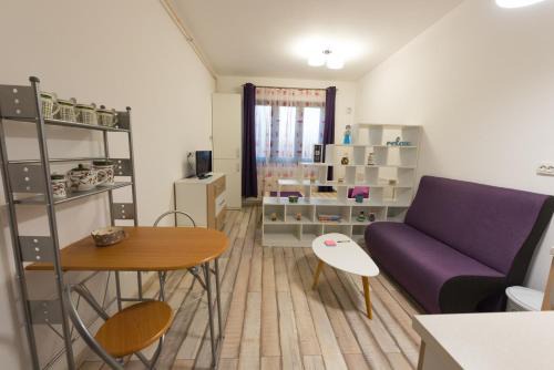 Satu Mare Apartment | Garsoniere Central