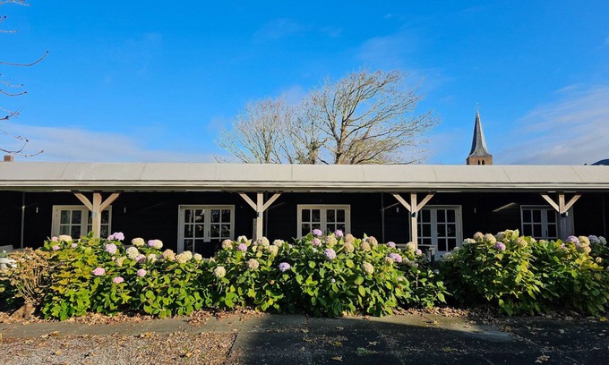 Domburg House | Gartensuite 'zand' im Zentrum von Domburg für 4 Personen und 2 Hunde!