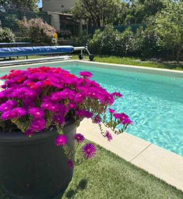 Bollene House | Gite climatisé avec piscine sur les hauteurs de Bollene