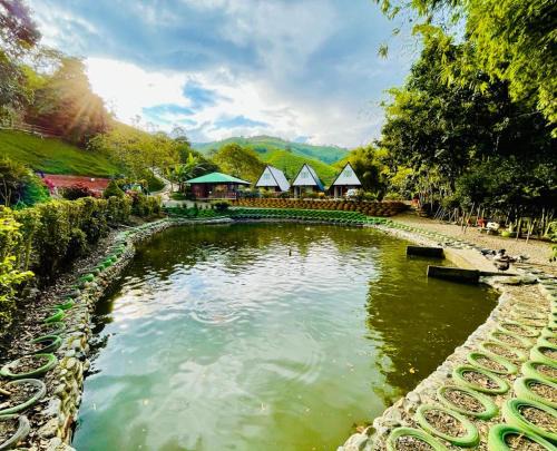 La Estrella Cabin | Glamping La Cabanita Santuario