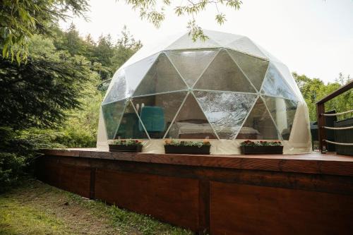 Nejdek Other | Glamping Lužec