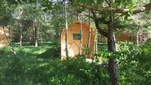 Nordholz Other | Glamping Pod im Wald mit Einzelbetten