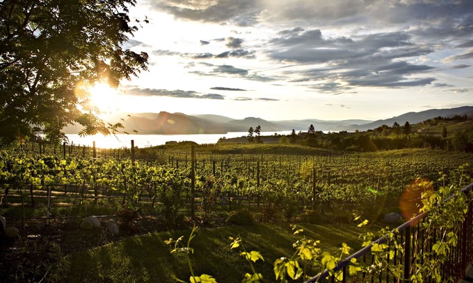 Okanagan-Similkameen House | Gorgeous suite on Gjoa's Vineyard located in the heart of the Naramata Bench