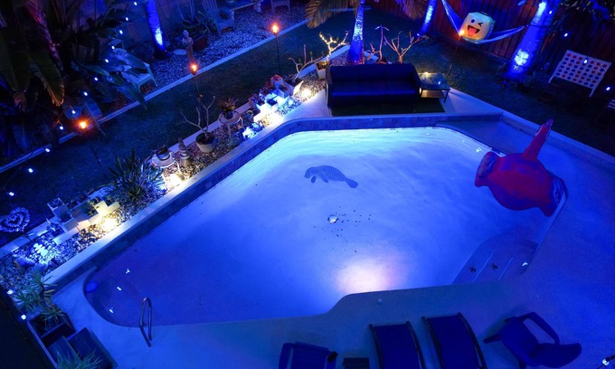 Tropic House | Gorgeous Urban Oasis W/hot Tub, Heated Pool And Private Movie Theater 3 Bedroom Home by RedAwning