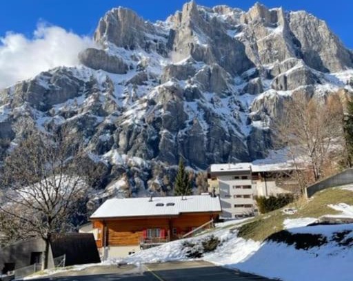 Leukerbad Apartment | Grazioso appartamentino Goliath 11