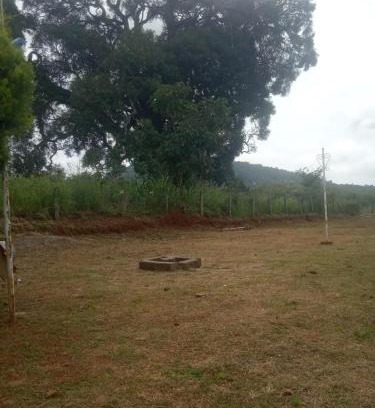 Yelagiri Other | Green hut house