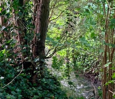 Dworp Apartment | Green River Studio