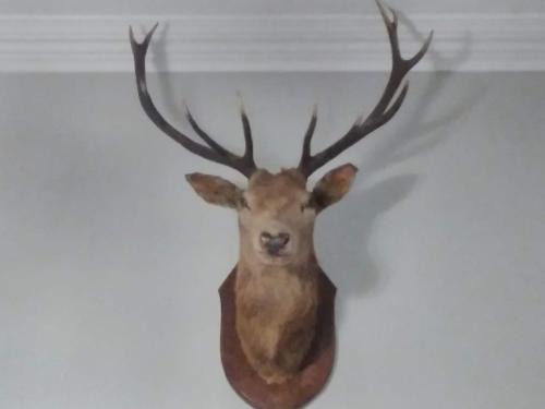 Hunspow Bed & Breakfast | Greenland house
