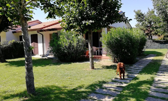 Lido delle Nazioni House | Ground floor villa with large garden in a quiet area