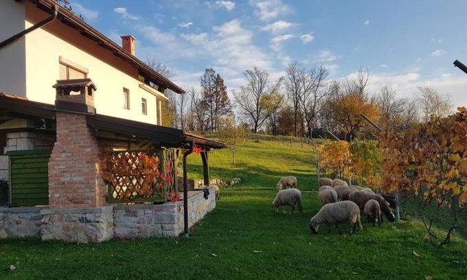 Generalski Stol House | Guest House Pinus