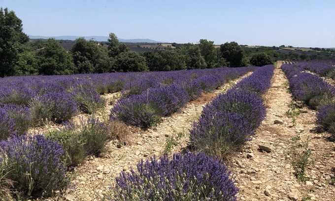 Manosque Hotel | Hôtel Francois1er