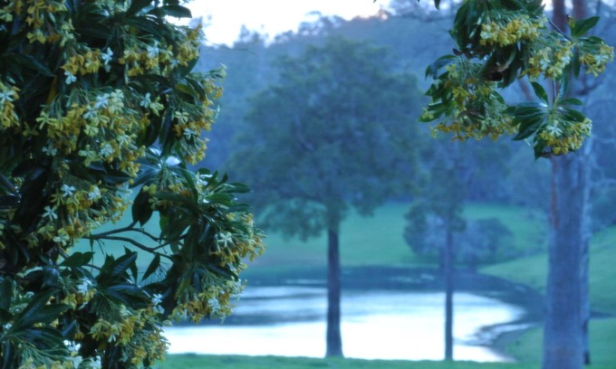 Upper Warren House | Hampshire Farmhouse - beautifully appointed home in WA's Southern Forests