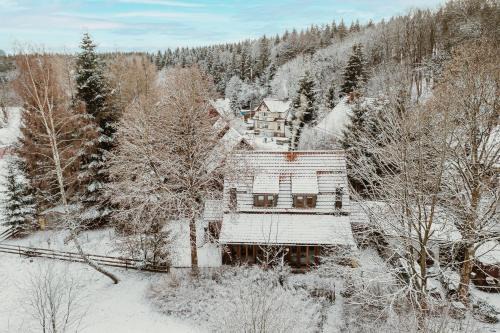 Mandelholz House | Harzchalet 2B