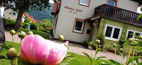 Greifenburg Apartment | Haus Elli