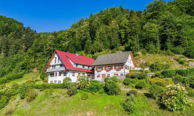 Oppenau Apartment | Haus Niedermättle