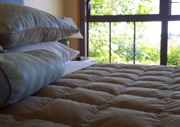 Alexandra Bed & Breakfast | Hawkdun Rise Vineyard & Accommodation