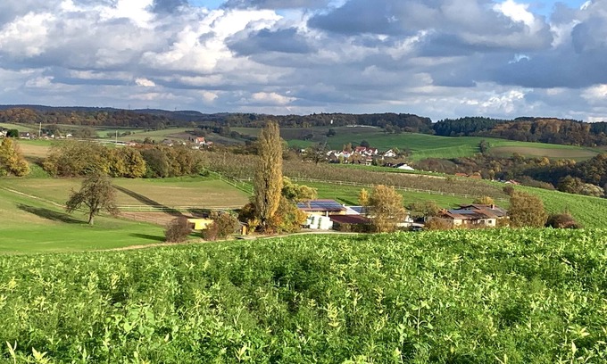 Horrenberg Apartment | Helles Familienzimmer mit eigenem Bad, Flachbild TV und WLAN
