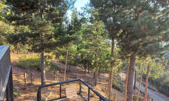 Talca Cabin | Hermosa cabaña con vista al lago Vichuquén - Región del Maule, Chile