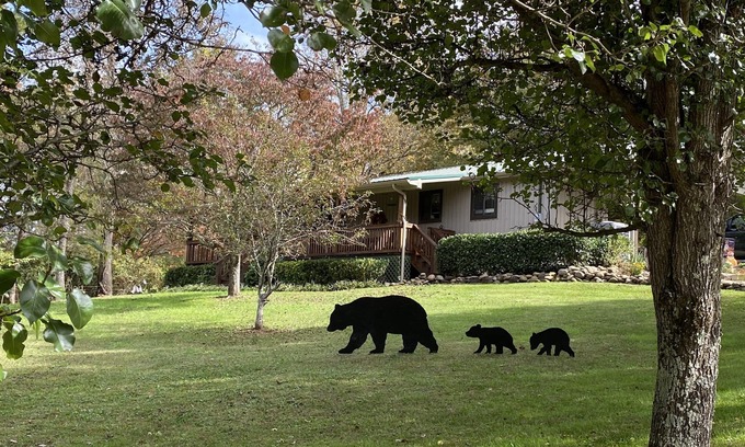 Cosby Cabin | Hidden Haven - Your secluded Mountain Sanctuary - Pet Friendly