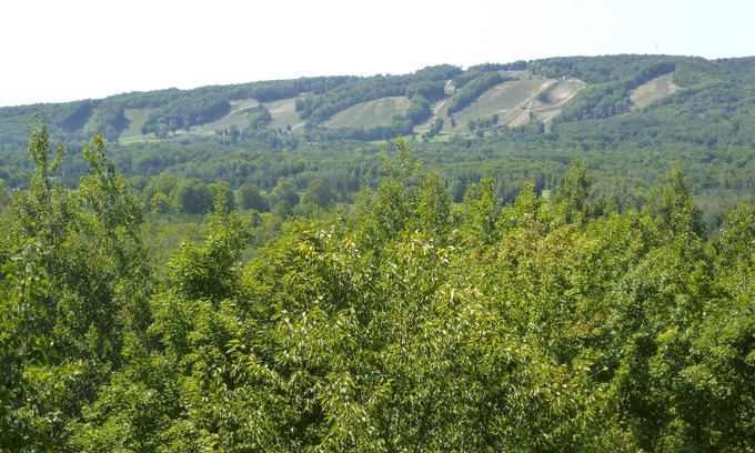 Harbor Springs House | Highlands View Cottage A Perfect 4 Season Getaway