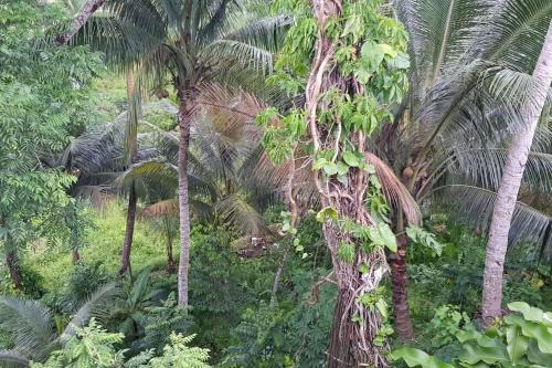 Suva House | Hill Bottom Accommodation