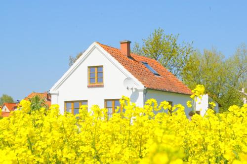 Lemkendorf House | Historisches Inselhäuschen - Surfer/Kiter/Familien