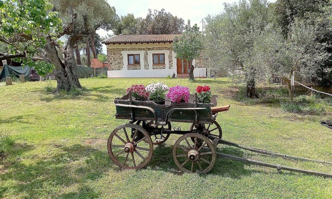 Piombino Other | Holiday apartment Piombino for 1 - 6 persons with 2 bedrooms - Farmhouse