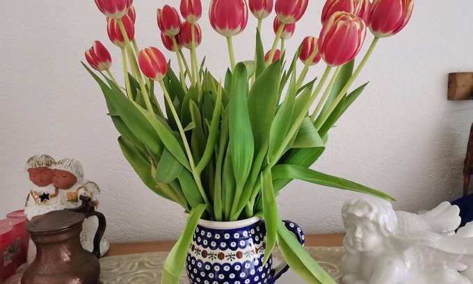 Warburg Apartment | Holiday apartment Warburg for 1 - 4 persons with 1 bedroom - Holiday apartment