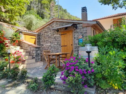 Castellina Marittima House | Holiday Home Home Relax by Interhome