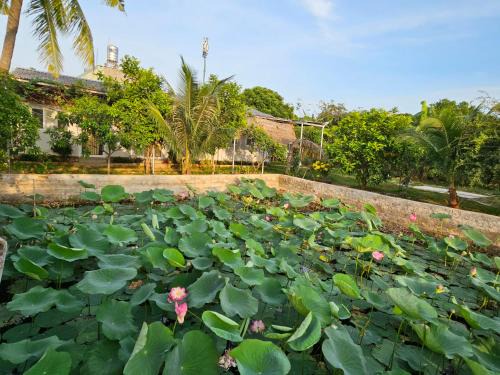 Vung Tau House | Homestay Sen & Zen Villa Vũng Tàu