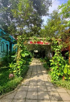 Mang Yang Cabin | Homestay Suối Mây Garden