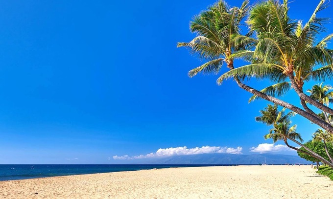 Honokowai Condo | Honua Kai | 2 Free Rental Cars | KBM Resorts | Spacious Floorplan | 2 Units, 3 Bedrooms | HK ML-1469