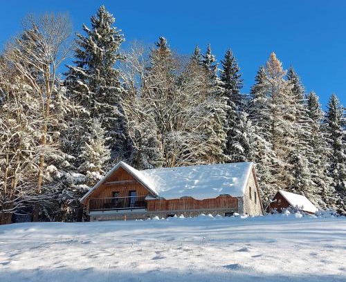 Harrachov Ski Chalet | Horská chata KRKONOŠKA HARRACHOV