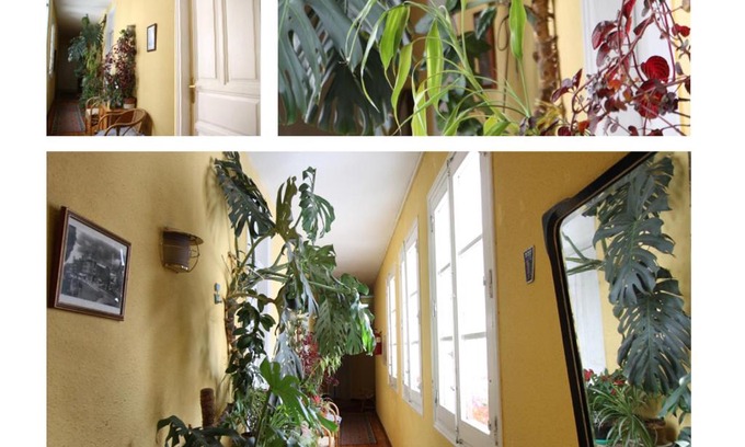 Leon City Centre House | Hostal Bayón