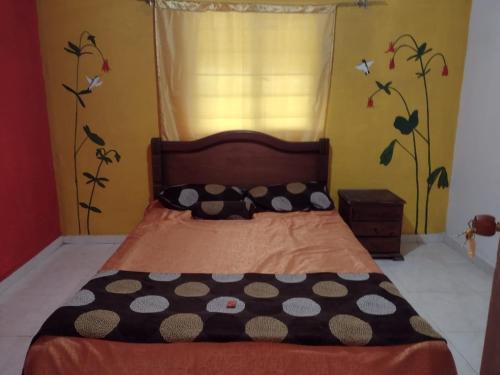 Popayan House | hostal Sueño Paraiso- Observatorio astronómico