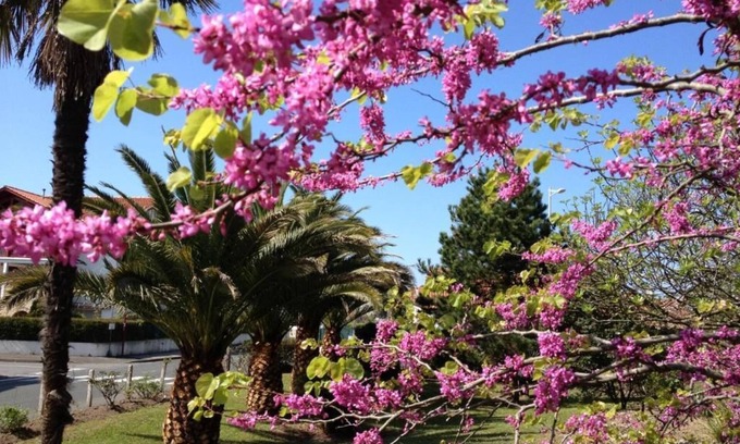 Hendaye Hotel | Hotel Bellevue