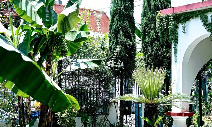 Palmira Apartment | Hotel Boutique Los Remansos