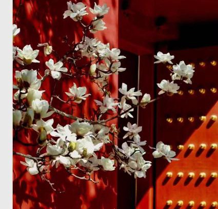 Wangfujing Shopping Area Hotel | Hotel Cote Cour Deductive Beijing - Quadrangle close to Tiananmen Square & Forbidden City & Nanluoguxiang, Walk to Wangfujing, English speaking, Free WiFi, Free Laundry, Free Wonton & Noodles with Tour ticket service, Free selfies with ancient costume