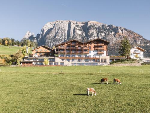 Fie allo Sciliar Hotel | Hotel Emmy - five elements