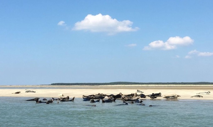 Quend Hotel | Hotel Les Augustines