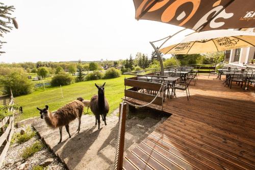 Ceska Skalice Hotel | Hotel Rozkoš