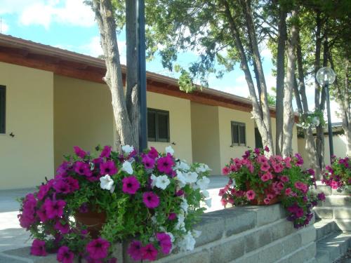 Aurelia Hotel | Hotel Samarcanda