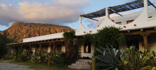 Cafayate Bed & Breakfast | Hotel Texas