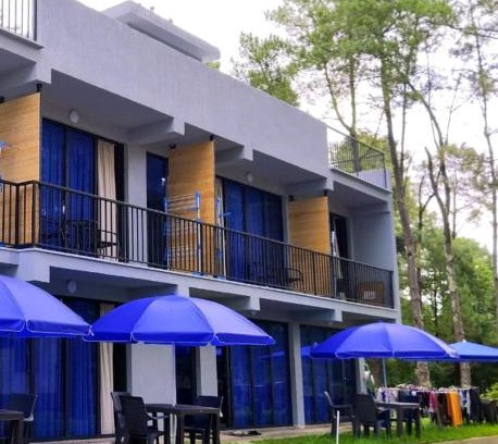 Shekhvetili House | Hotel Umbrella