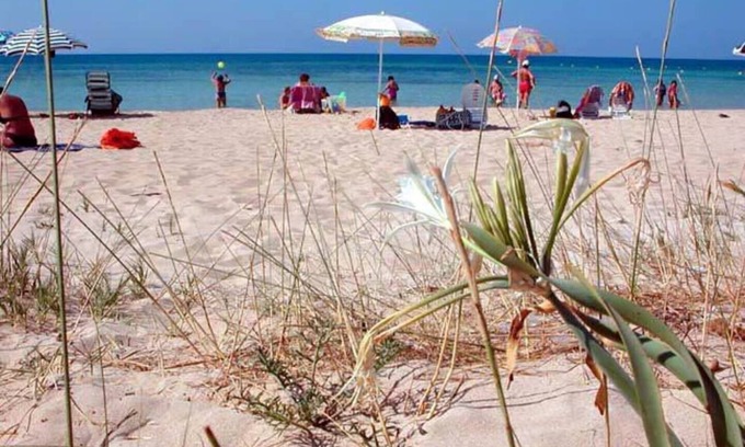 Tiggiano House | house in Salento, 3 km from the sea and 10km from SMdi Leuca ranging up to 14 p. bed