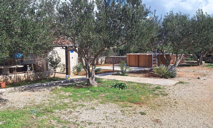 Pirovac House | House Pygmy Cormorant (14582-K1) - Pirovac