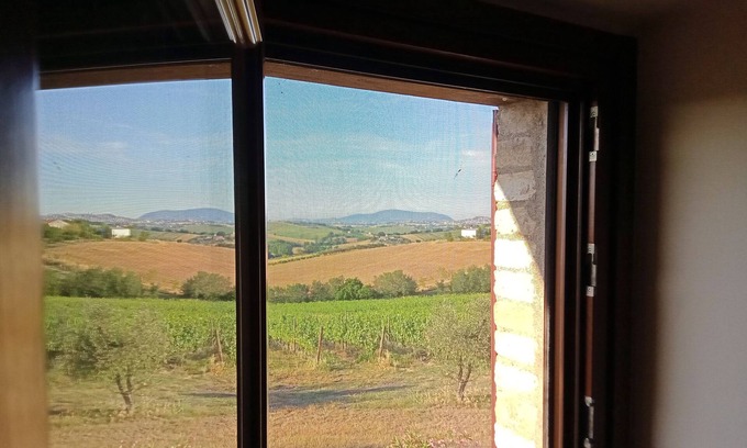 Recanati Other | I Tre Filari