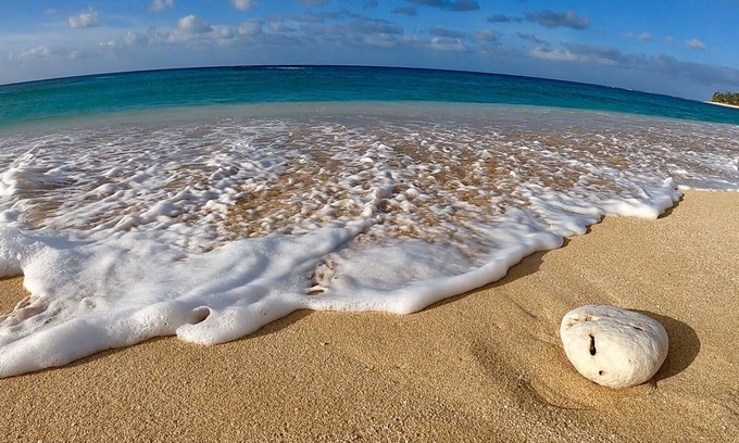 Pupukea Cottage | ICE OPTIONAL IN PARADISE.SURF IS UP.WALK to PIPE where the BIG WAVE ACTION IS