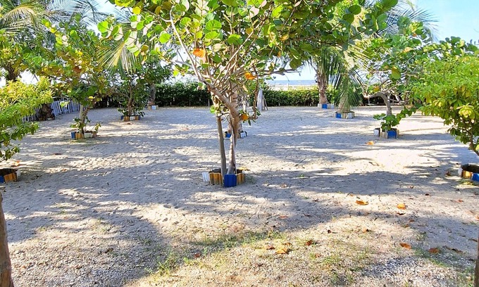 Puebloviejo Apartment | Immerse yourself in the tropical experience you deserve.