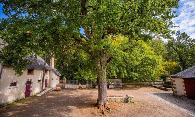 Cour-Cheverny House | In the heart of the Chateaux de la Loire Gîte de Plain-Pied adapted for PMR. Pets allowed